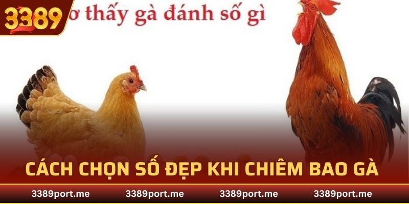 Cách chọn số đẹp khi chiêm bao gà