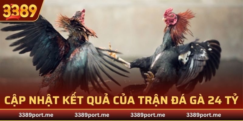 Cập nhật kết quả trận đá gà 24 tỷ tới bạn đọc